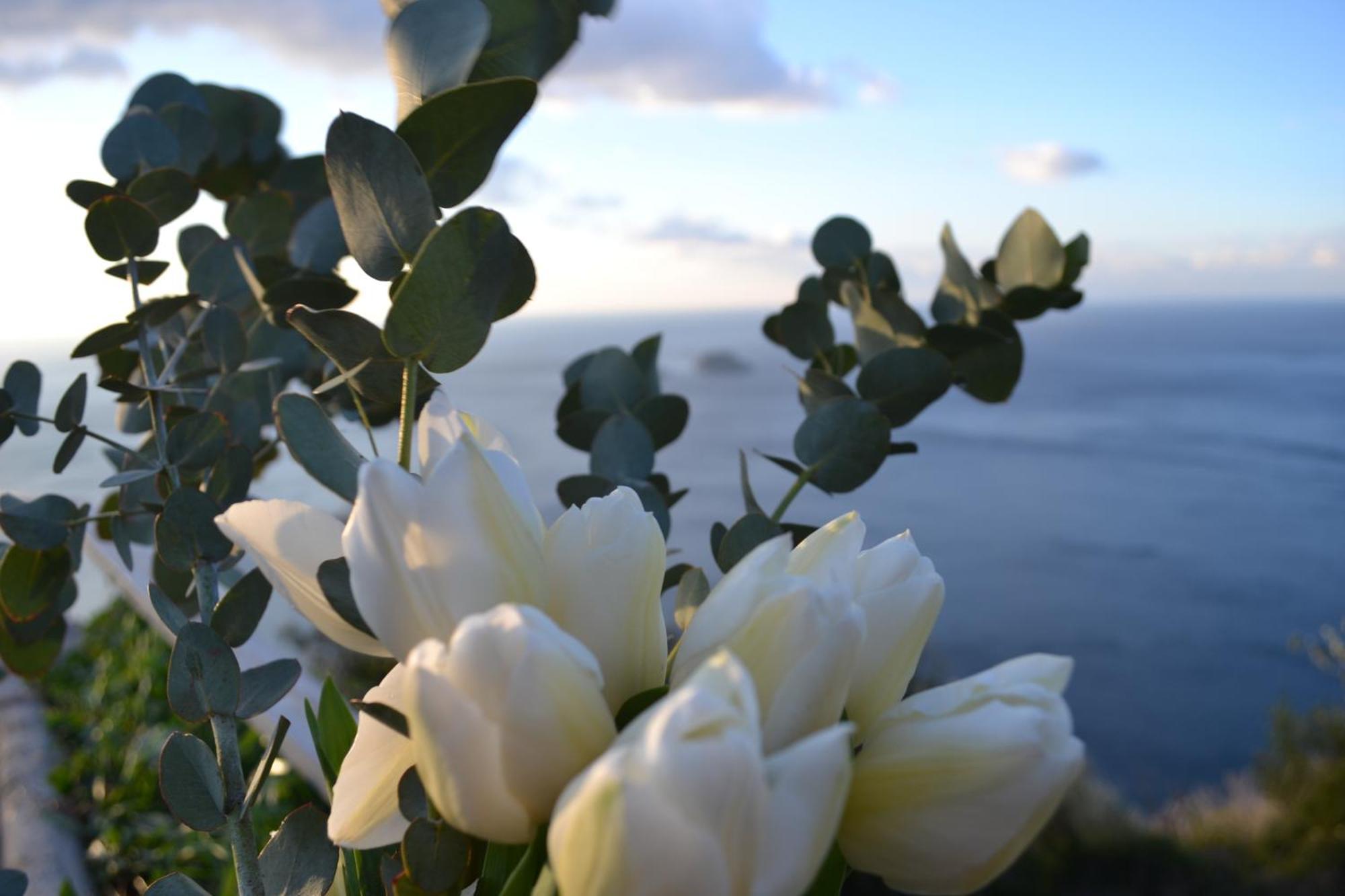Casa La Bifora Positano Villa Eksteriør bilde